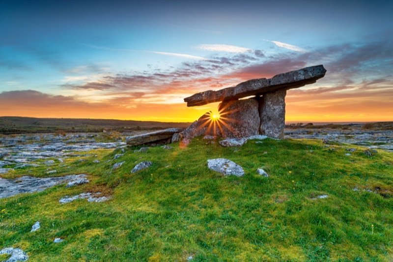 Wildflowers in the Burren, County Clare